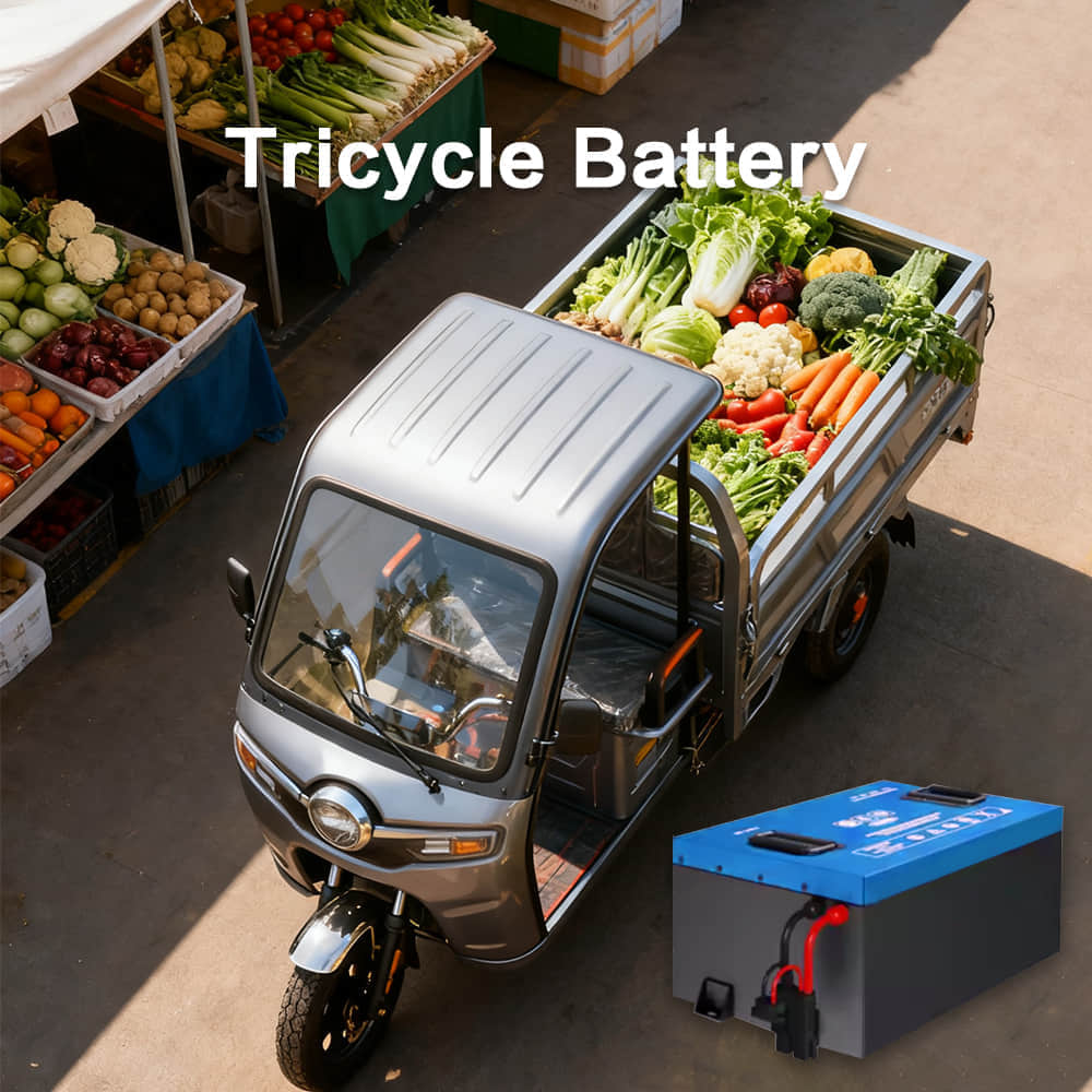 3-Wheeler Battery