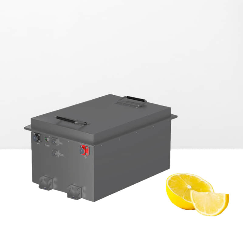 48V golf cart battery